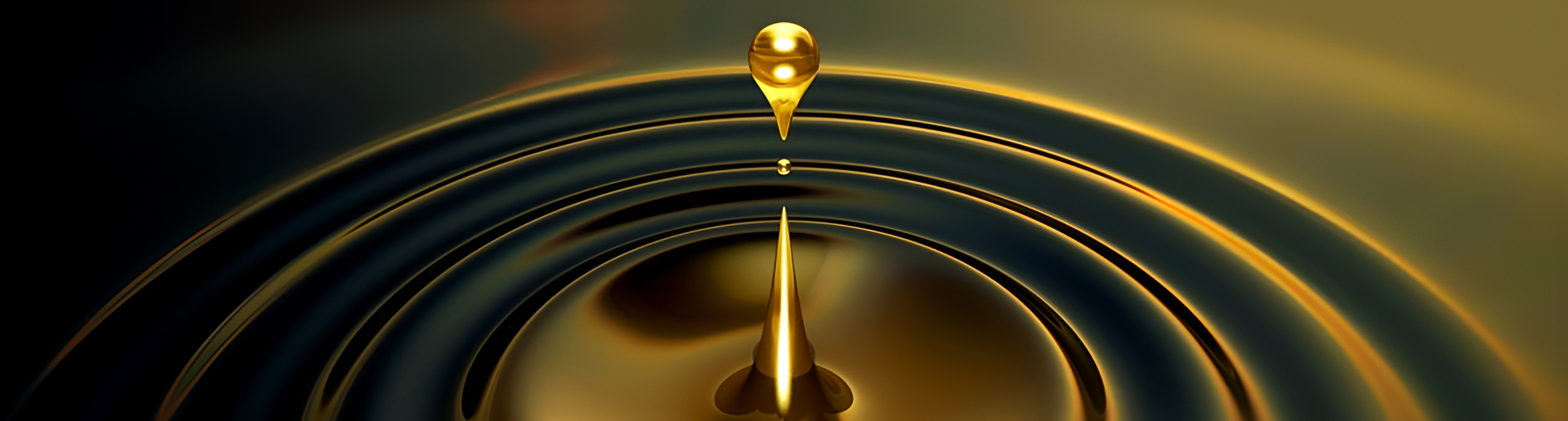 Operational Challenges in a Changing Market